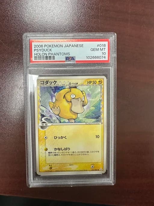 Collectibles shared by Lynch